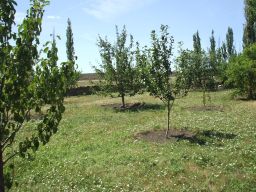 exp-zr-2009 553